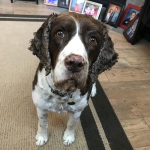 Meet your Posher, Christine